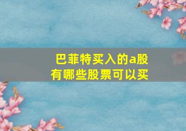 巴菲特买入的a股有哪些股票可以买