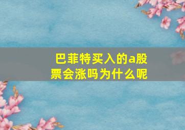 巴菲特买入的a股票会涨吗为什么呢