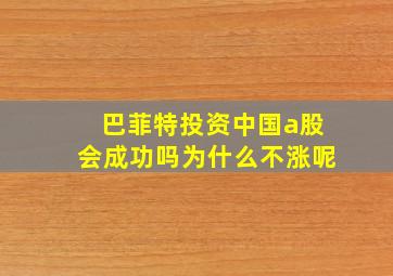 巴菲特投资中国a股会成功吗为什么不涨呢