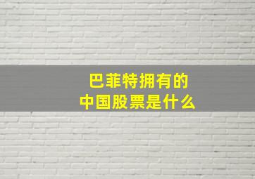 巴菲特拥有的中国股票是什么