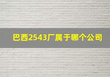 巴西2543厂属于哪个公司