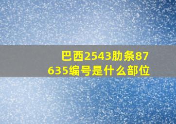 巴西2543肋条87635编号是什么部位