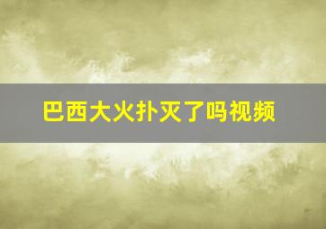 巴西大火扑灭了吗视频