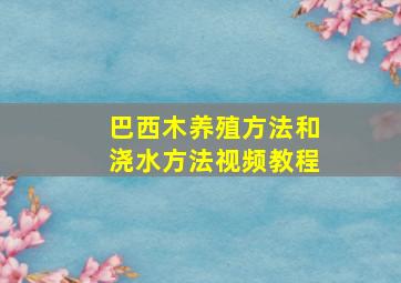 巴西木养殖方法和浇水方法视频教程