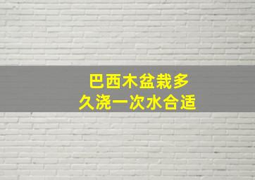 巴西木盆栽多久浇一次水合适