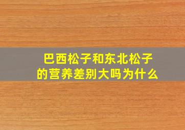 巴西松子和东北松子的营养差别大吗为什么