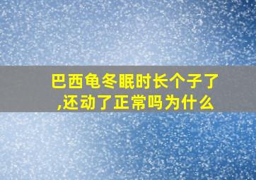 巴西龟冬眠时长个子了,还动了正常吗为什么