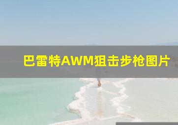 巴雷特AWM狙击步枪图片