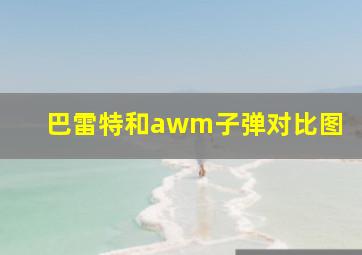 巴雷特和awm子弹对比图