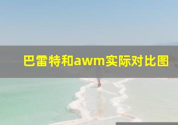 巴雷特和awm实际对比图