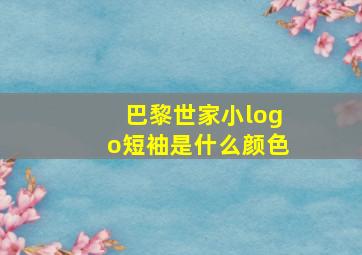 巴黎世家小logo短袖是什么颜色