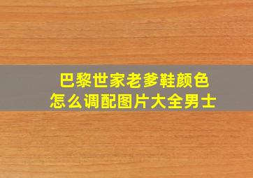 巴黎世家老爹鞋颜色怎么调配图片大全男士