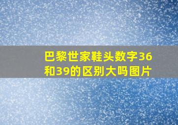 巴黎世家鞋头数字36和39的区别大吗图片