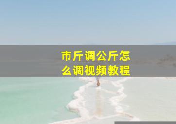 市斤调公斤怎么调视频教程