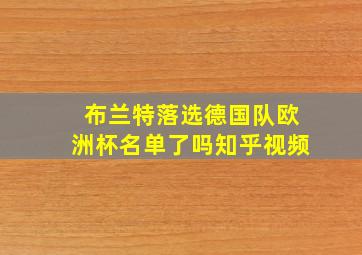 布兰特落选德国队欧洲杯名单了吗知乎视频