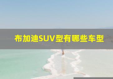 布加迪SUV型有哪些车型