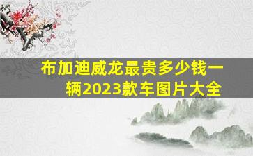 布加迪威龙最贵多少钱一辆2023款车图片大全