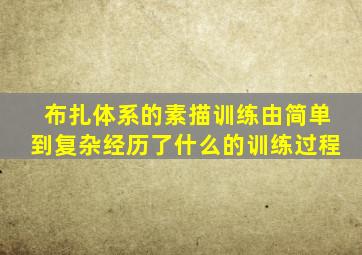 布扎体系的素描训练由简单到复杂经历了什么的训练过程