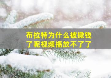 布拉特为什么被撒钱了呢视频播放不了了