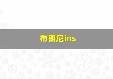 布朗尼ins