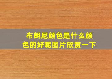 布朗尼颜色是什么颜色的好呢图片欣赏一下