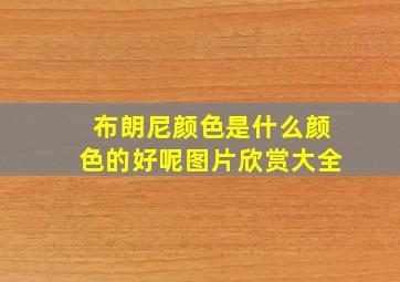 布朗尼颜色是什么颜色的好呢图片欣赏大全