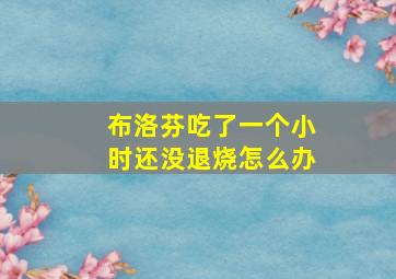 布洛芬吃了一个小时还没退烧怎么办