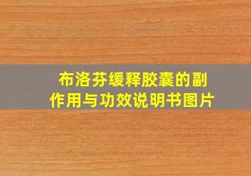 布洛芬缓释胶囊的副作用与功效说明书图片