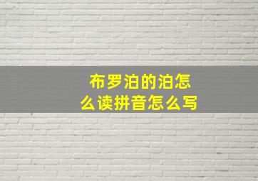 布罗泊的泊怎么读拼音怎么写