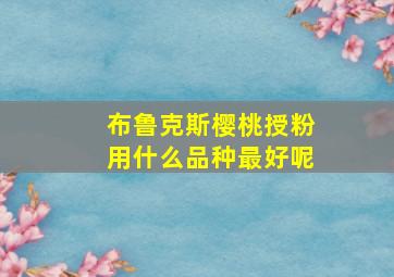 布鲁克斯樱桃授粉用什么品种最好呢