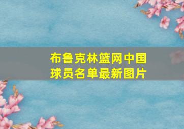 布鲁克林篮网中国球员名单最新图片