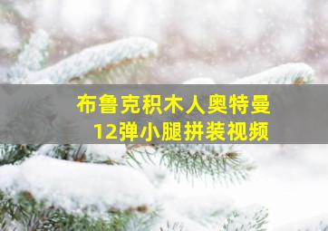 布鲁克积木人奥特曼12弹小腿拼装视频