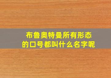 布鲁奥特曼所有形态的口号都叫什么名字呢