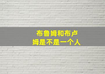 布鲁姆和布卢姆是不是一个人