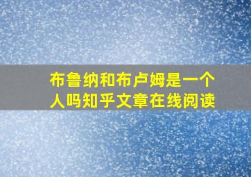 布鲁纳和布卢姆是一个人吗知乎文章在线阅读