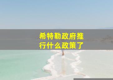 希特勒政府推行什么政策了