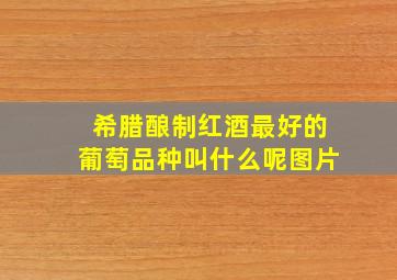 希腊酿制红酒最好的葡萄品种叫什么呢图片