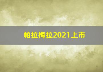 帕拉梅拉2021上市