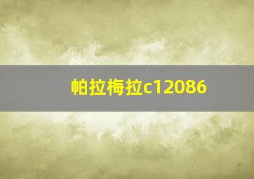 帕拉梅拉c12086