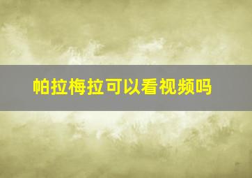 帕拉梅拉可以看视频吗