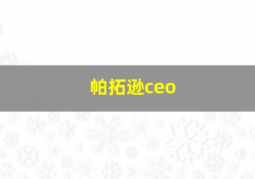 帕拓逊ceo