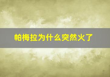 帕梅拉为什么突然火了