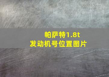 帕萨特1.8t发动机号位置图片