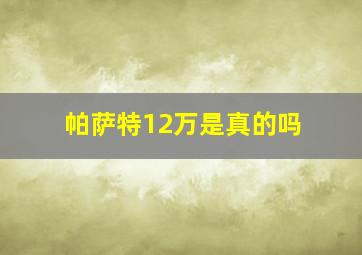 帕萨特12万是真的吗