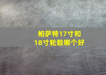 帕萨特17寸和18寸轮毂哪个好