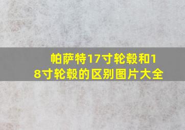 帕萨特17寸轮毂和18寸轮毂的区别图片大全