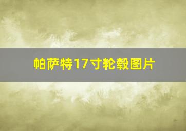 帕萨特17寸轮毂图片