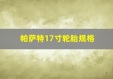 帕萨特17寸轮胎规格