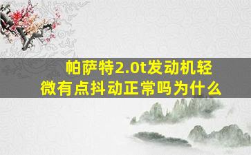 帕萨特2.0t发动机轻微有点抖动正常吗为什么