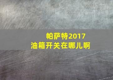 帕萨特2017油箱开关在哪儿啊